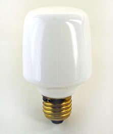 Glühlampe Elroyal für Lindner 1970